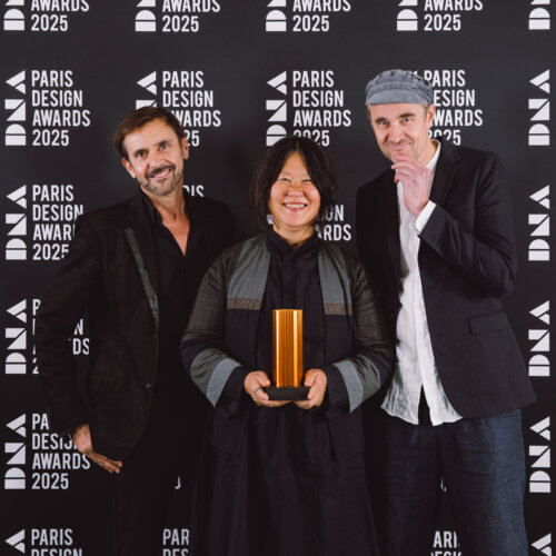 Winner of DNA Paris Design Awards