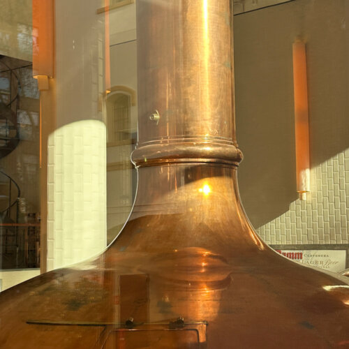 Estrella Damm Beer Experience